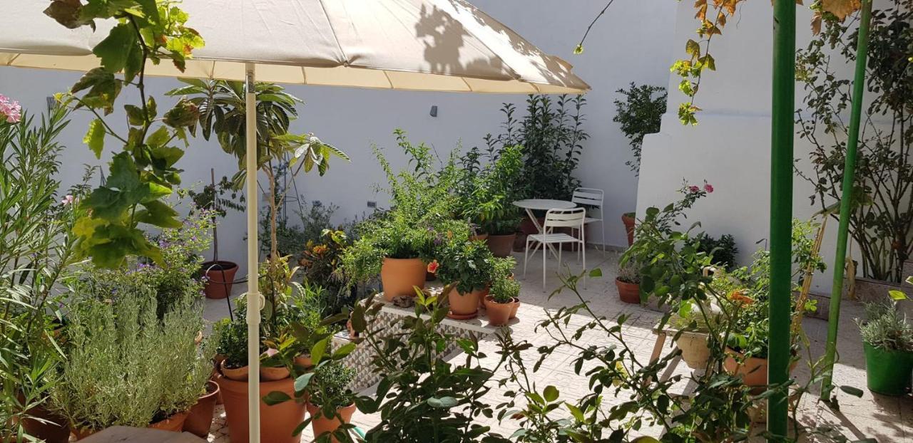 Bed and breakfast Danzantes